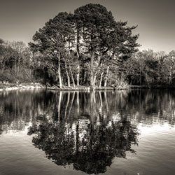 view of Southampton Commons ornamental lake in Black & White